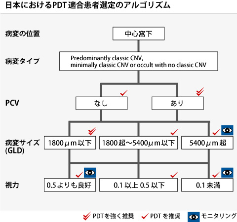 日本におけるPDT適合患者選定のアルゴリズム